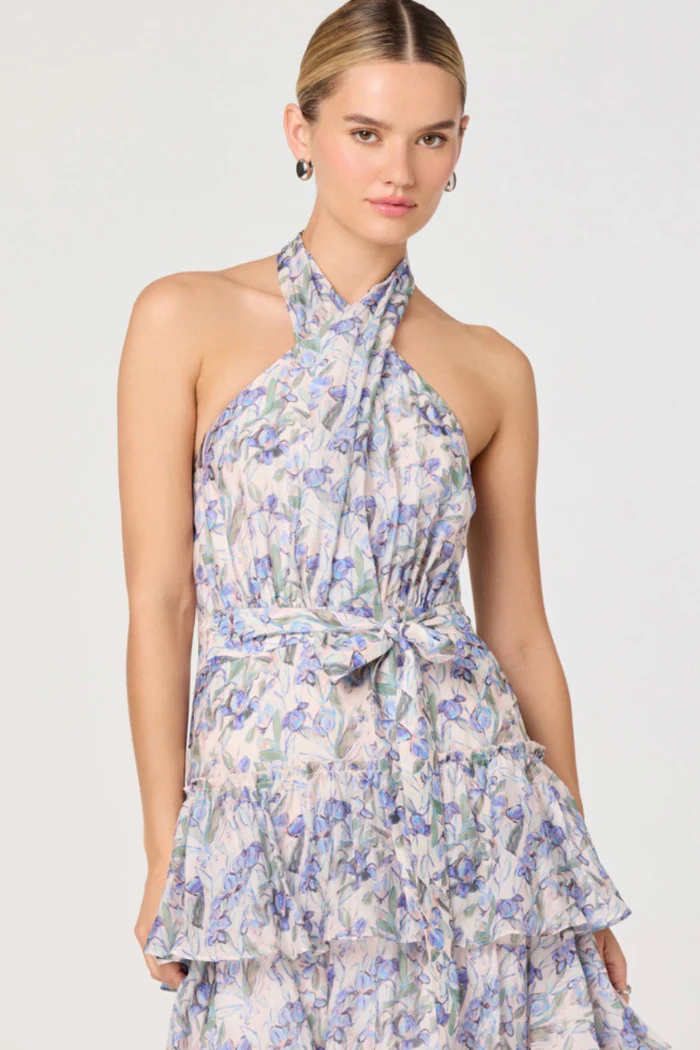 Adamaris Tiered Halter Maxi Dress - Image 3