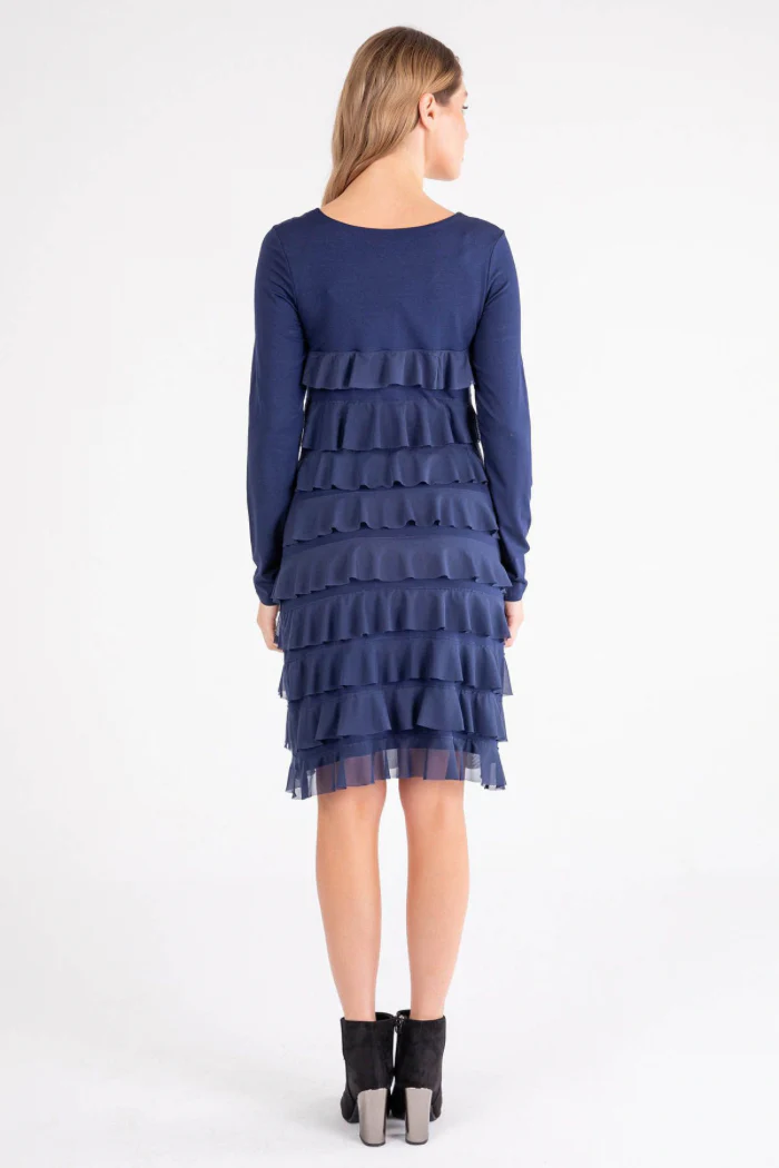 Mesh Long Sleeve Cha Cha Dress - Image 2