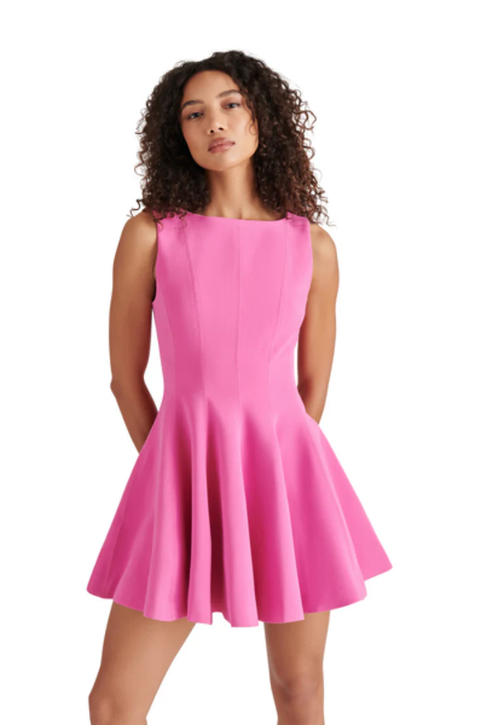 Nili Tawny Pink Fit & Flare Mini Dress - Sleeveless Party Dress - Image 3