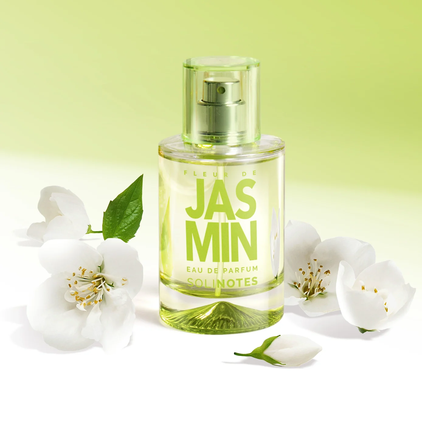 Solinotes French Perfume - Image 3