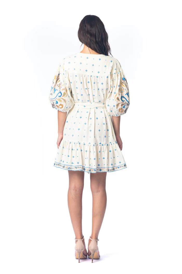 Usha Dress - Image 2